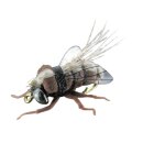 JENZI insect mimic L B 4pcs.