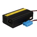 REBELCELL 12.6V10A AV charger Li-Ion for outdoor boxes...